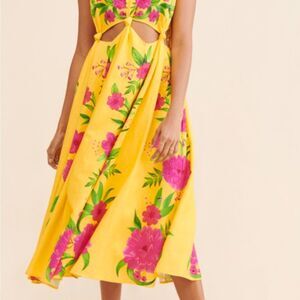Anthropologie Farm Rio Romantic Garden Dress